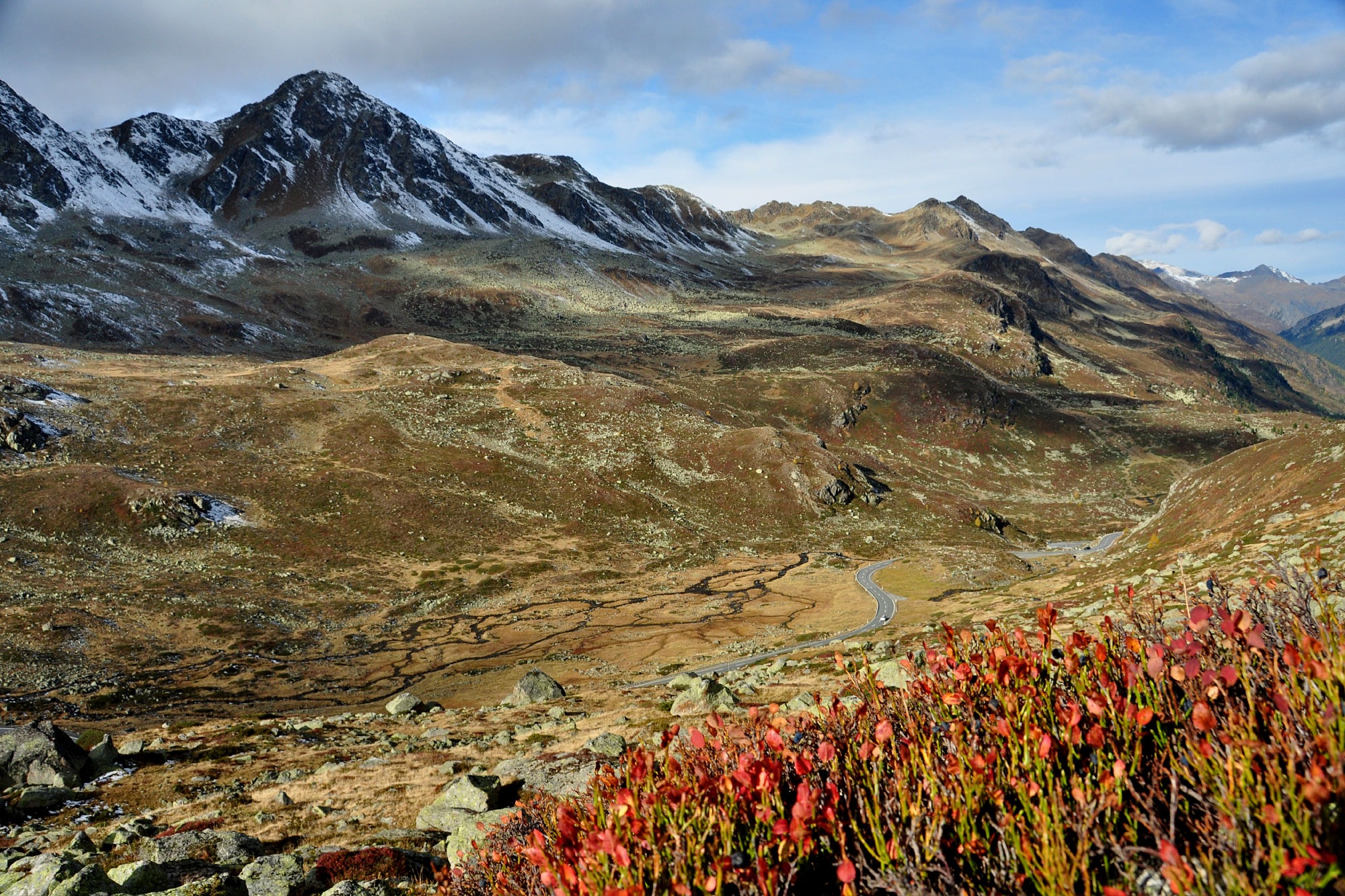 Fluelapass